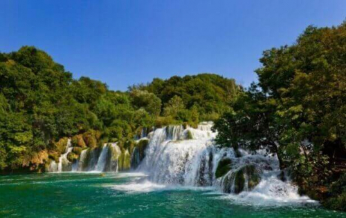Фотошпалери Водоспад серед дерев