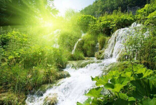 Фотошпалери Водоспад серед лісу
