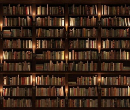 Фотошпалери Полиці з книгами